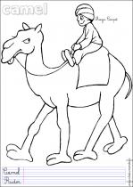 coloriage-chameau-3